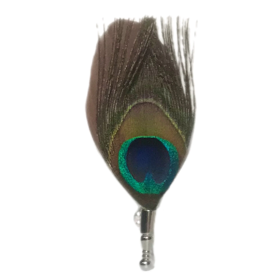 Peacock Feather Lapel Pins - 6 Colors or Pick Your Own Color