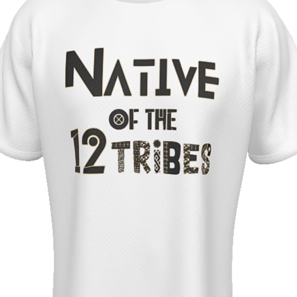 NATIVE OF THE 12 TRIBES OF ISRAEL T Shirt