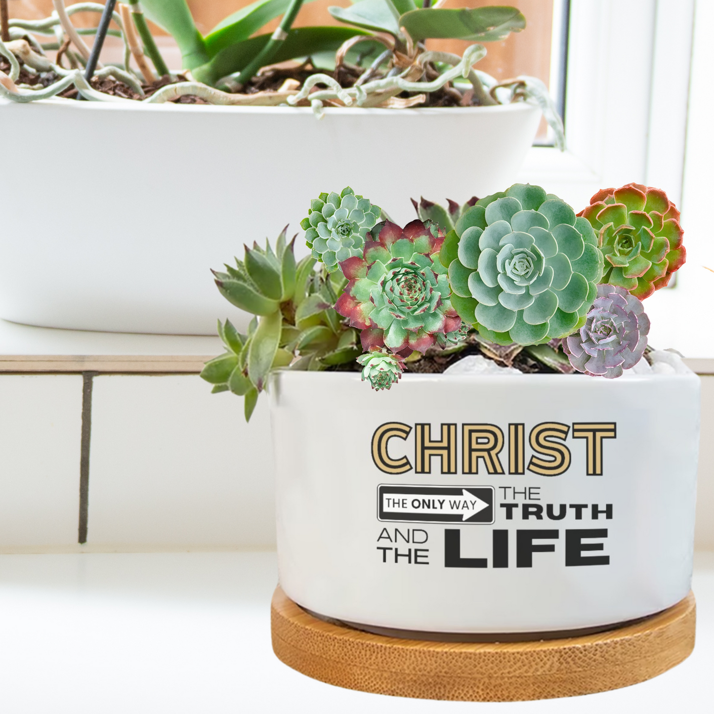 CHRIST, THE ONLY WAY, THE TRUTH AND THE LIFE Flower Pot