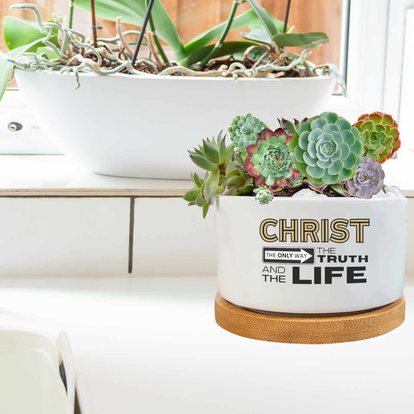 CHRIST, THE ONLY WAY, THE TRUTH AND THE LIFE Flower Pot