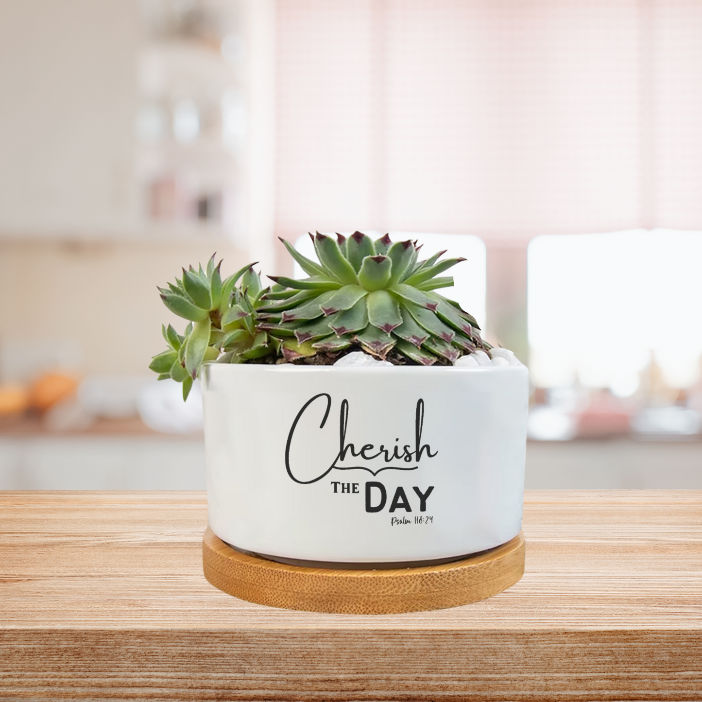 CHERISH THE DAY Flower Plant Pot