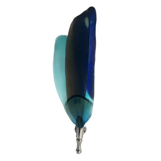 Aqua, Turquoise, Cobalt Blue and Black King Fisher Feather Lapel Pin