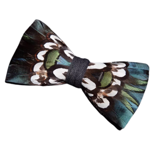 Black, Green, Beige and Brown Pheasant Feather Bow Tie & Pin Set