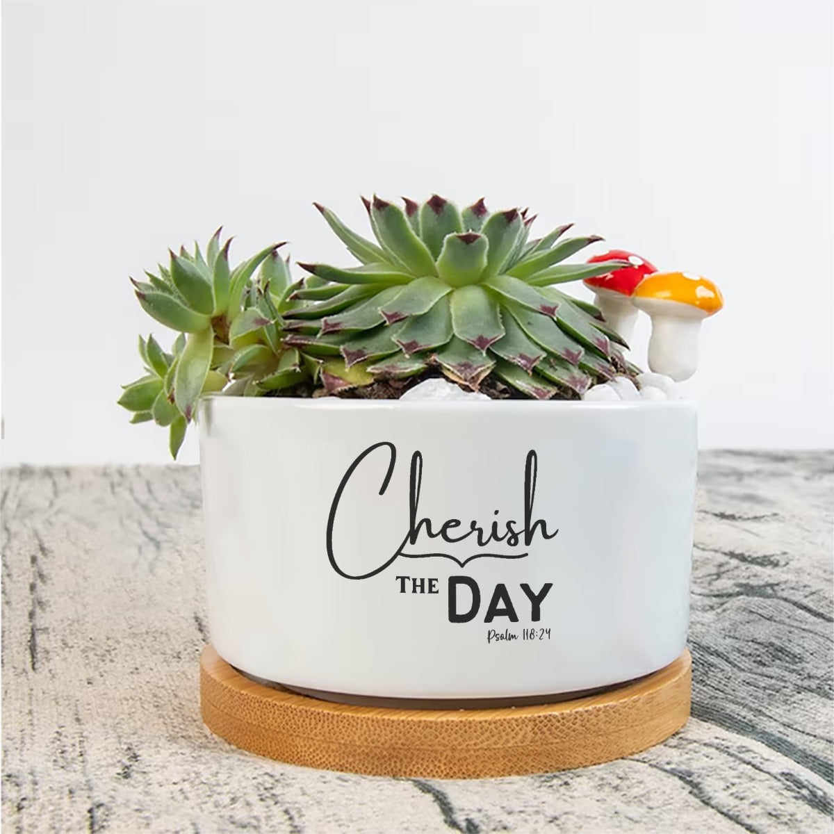 CHERISH THE DAY Flower Plant Pot