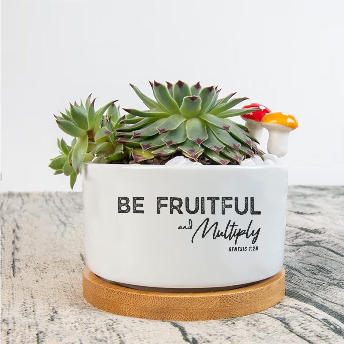 BE FRUITFUL & MULTIPLY Plant Flower Pot