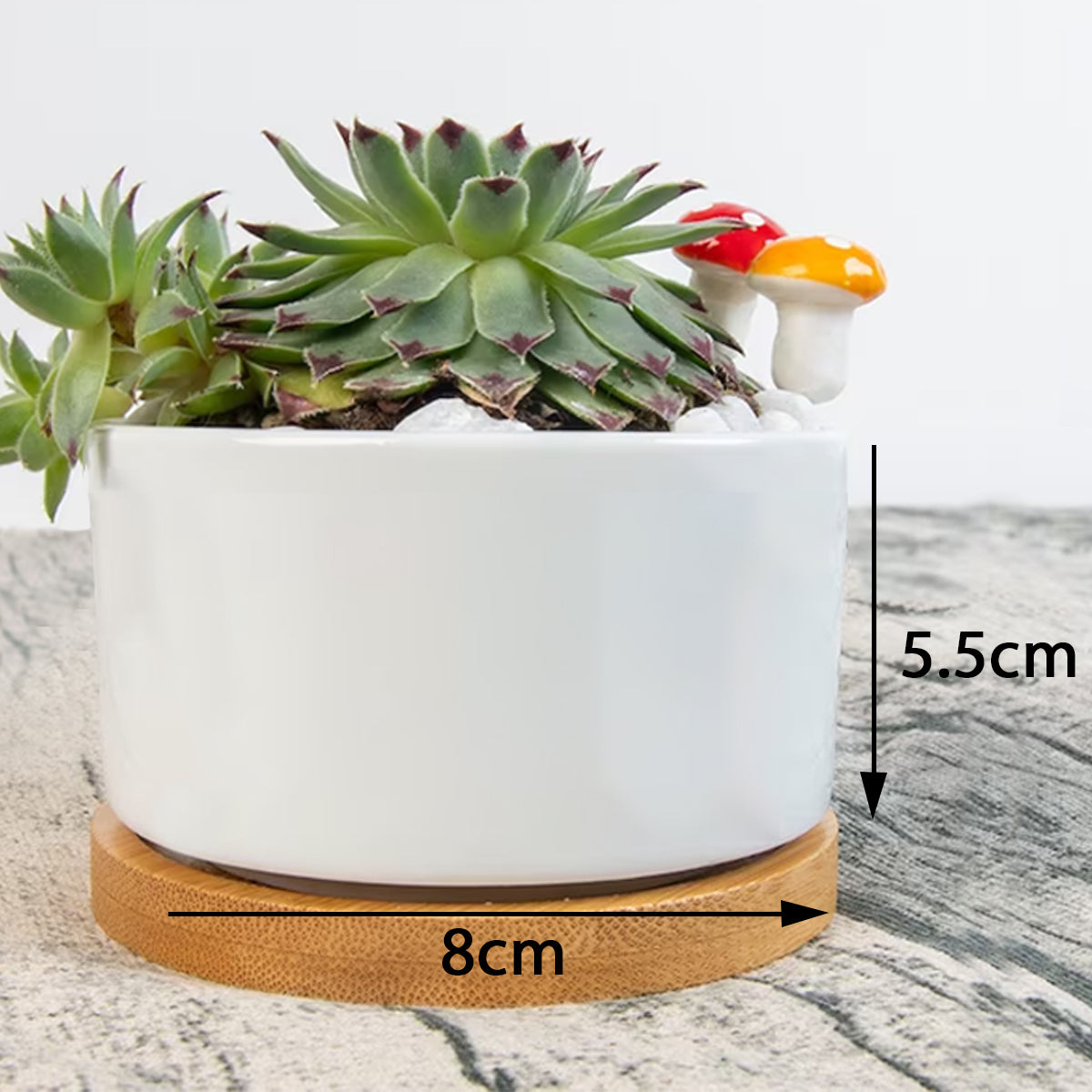 BE FRUITFUL & MULTIPLY Plant Flower Pot